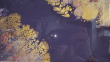 Carica e avvia il video nel visualizzatore di galleria, Wisdom - Fine fluid art